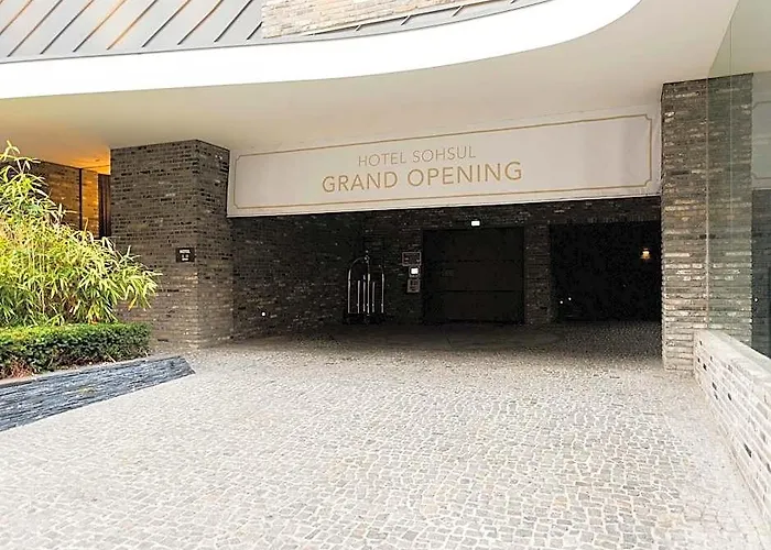 Hotel Gangnam Boutique Sohsul Séoul